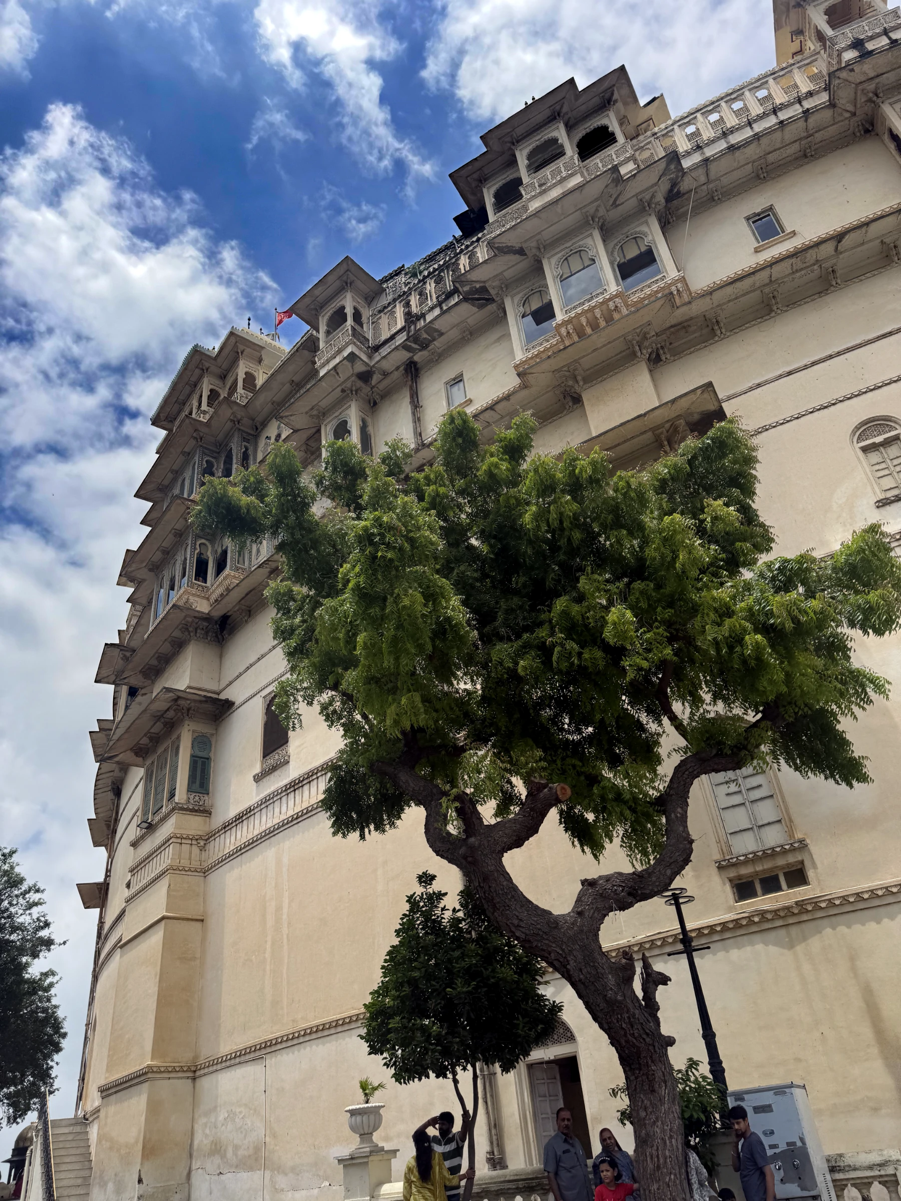 A pale Udaipur façade and a tree against a blue sky